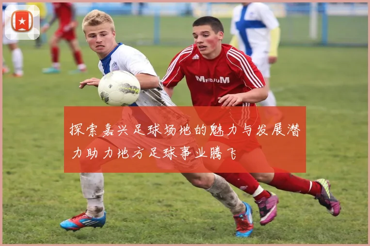 探索嘉兴足球场地的魅力与发展潜力助力地方足球事业腾飞