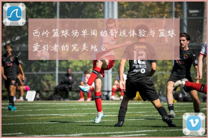 西岭篮球场单间的舒适体验与篮球爱好者的完美结合